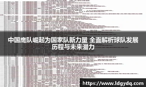 中国鹰队崛起为国家队新力量 全面解析球队发展历程与未来潜力