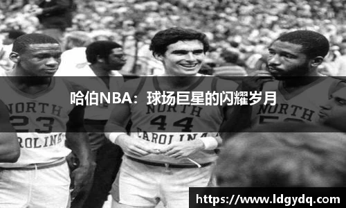 哈伯NBA：球场巨星的闪耀岁月