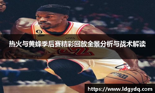 热火与黄蜂季后赛精彩回放全景分析与战术解读