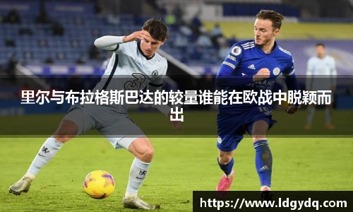 db电竞平台