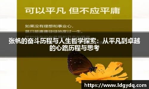db电竞平台