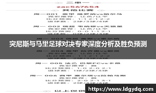 突尼斯与马里足球对决专家深度分析及胜负预测